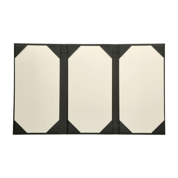 Triptico - Imagen 12